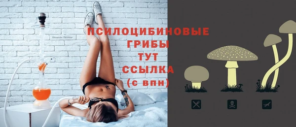 стафф Алзамай