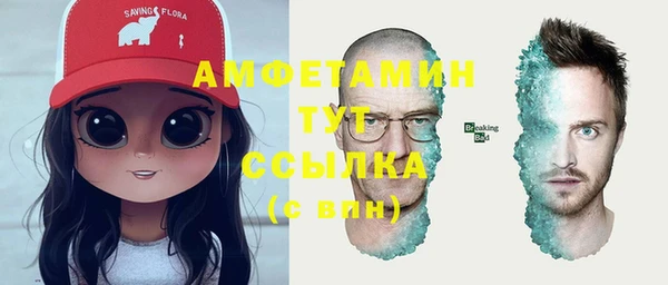 молекула духа Алексин