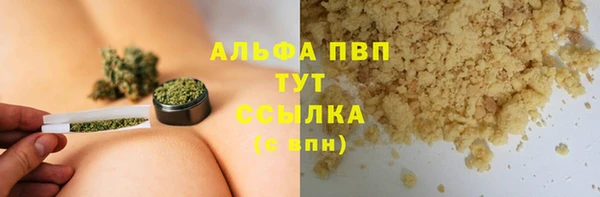стафф Алзамай