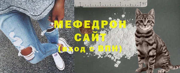 МДПВ Пересвет