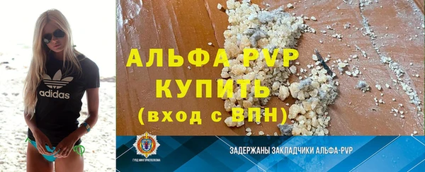 стафф Алзамай
