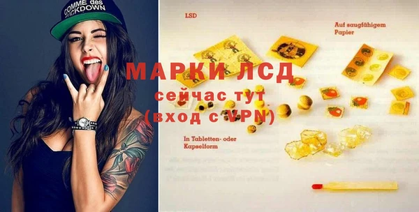 стафф Алзамай