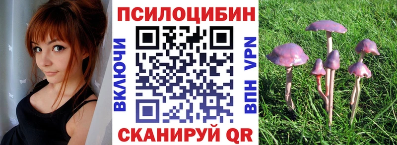 Галлюциногенные грибы Magic Shrooms  Петухово 