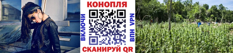 МАРИХУАНА MAZAR  Петухово 